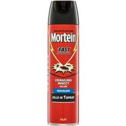 Mortein Insect Spray Plus Odourless 350g